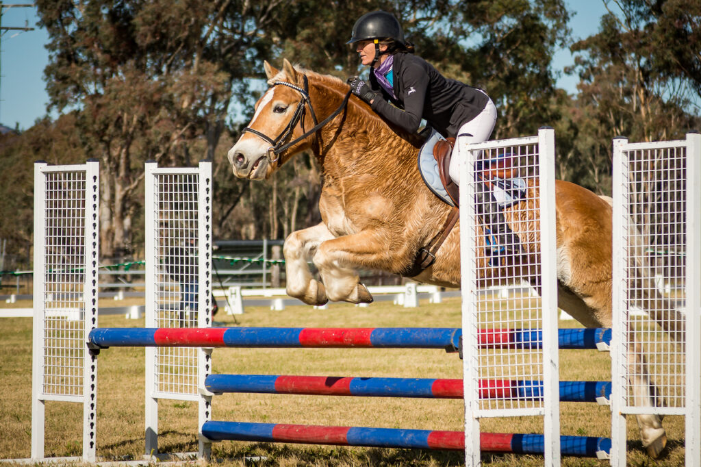 Hunter Valley Equestrian