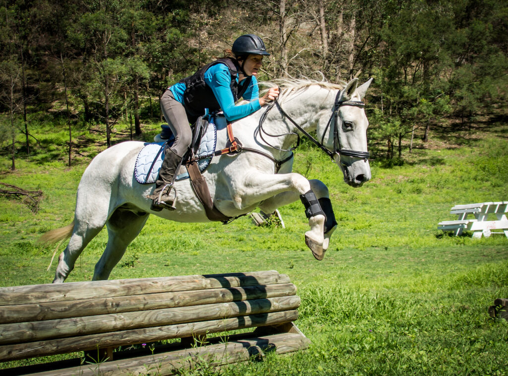 Agistment & Horse Training at Willow's Leap