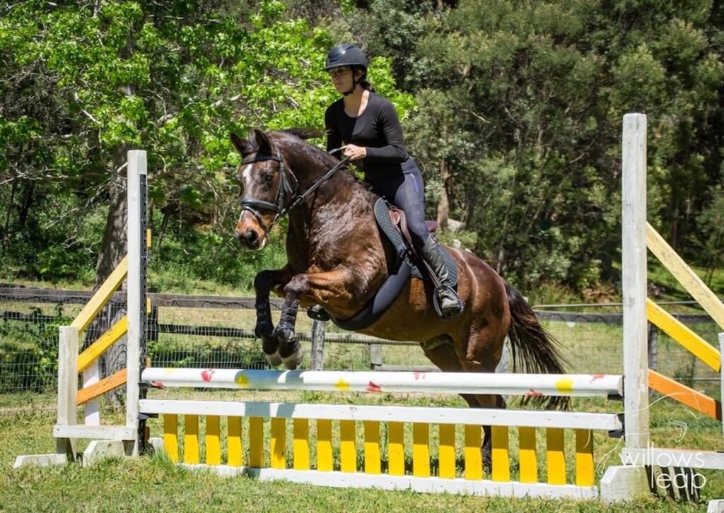 Hunter Valley Horse Riding