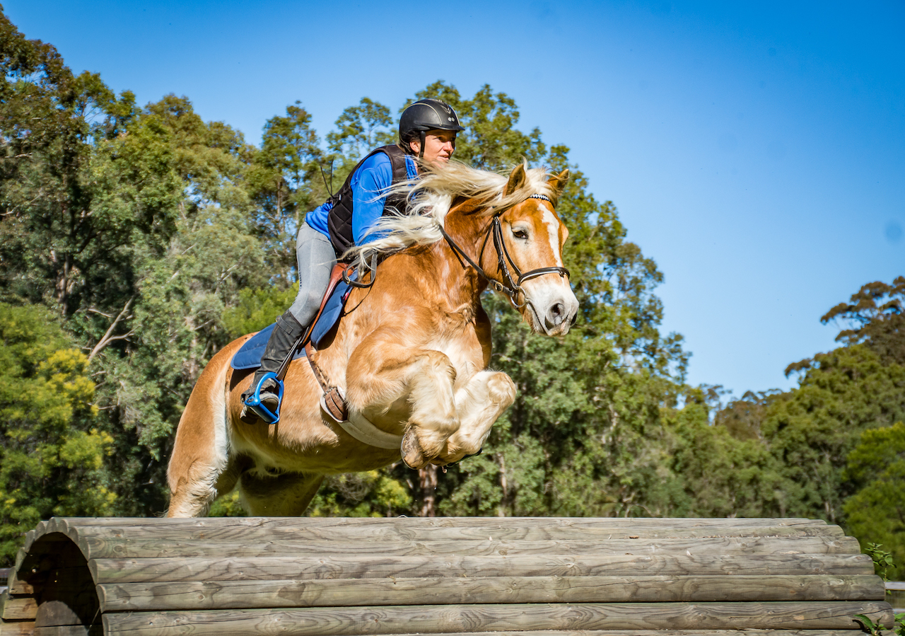 Hunter Valley Equestrian