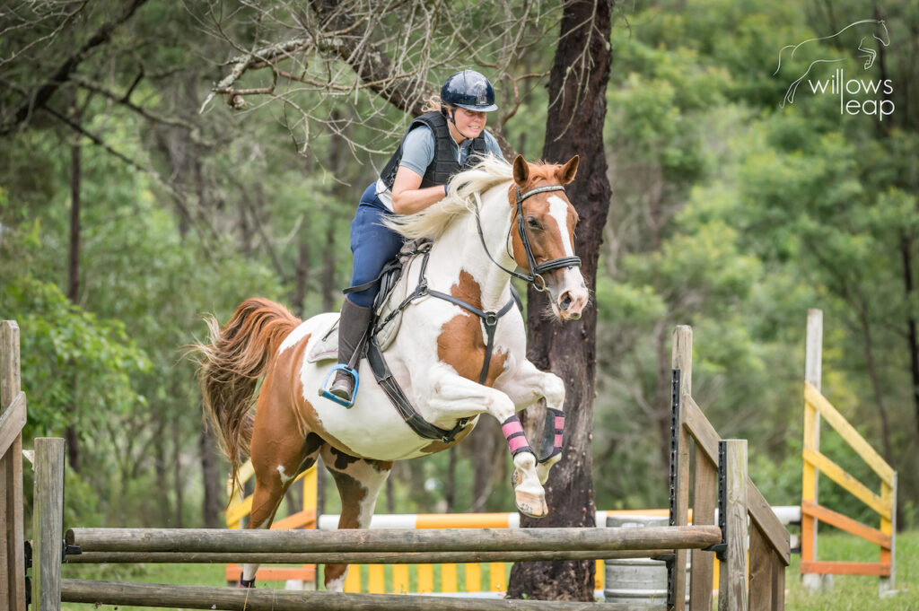 Hunter Valley Equestrian Facility, Willow's Leap