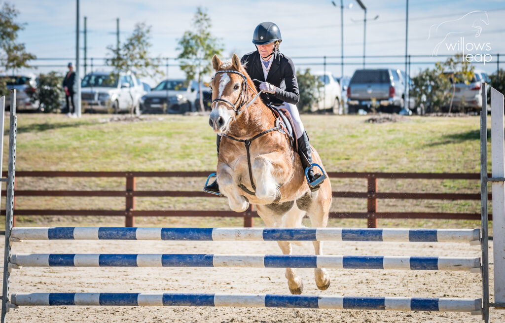 Hunter Valley Horse Riding